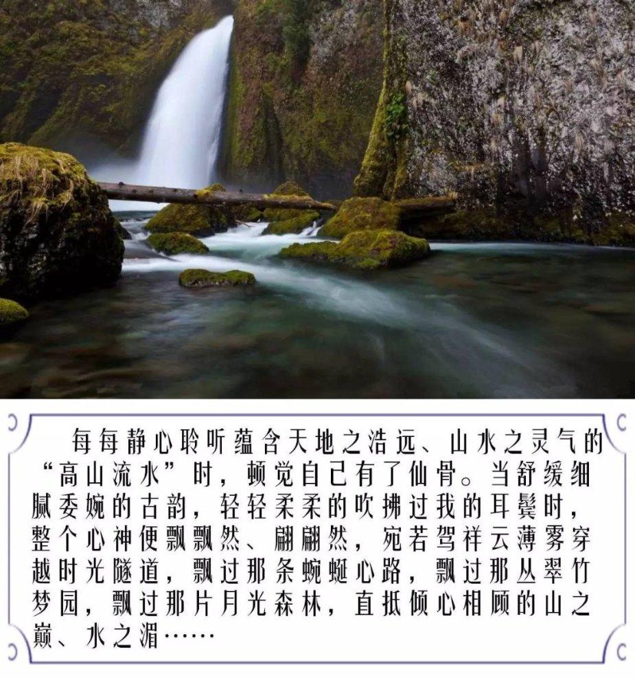 机智问答网页-高效解答,准确无误的最小的一位数是0还是1?回答